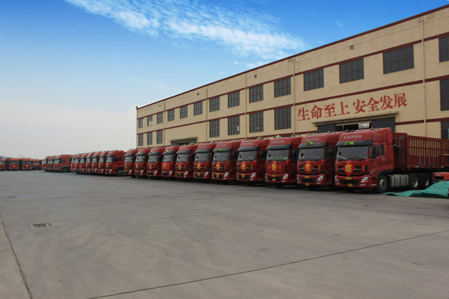 車(chē)隊(duì)展示 車(chē)隊(duì)展示